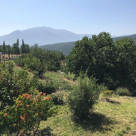 Els Pirineus Appartement Moltig les Bains Buitenkant foto