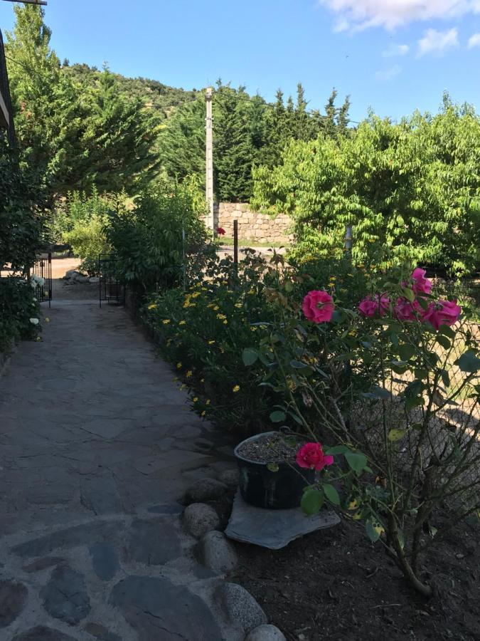 Els Pirineus Appartement Moltig les Bains Buitenkant foto