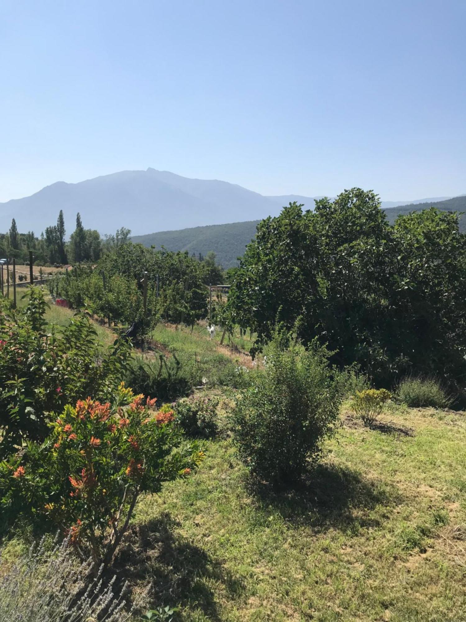 Els Pirineus Appartement Moltig les Bains Buitenkant foto